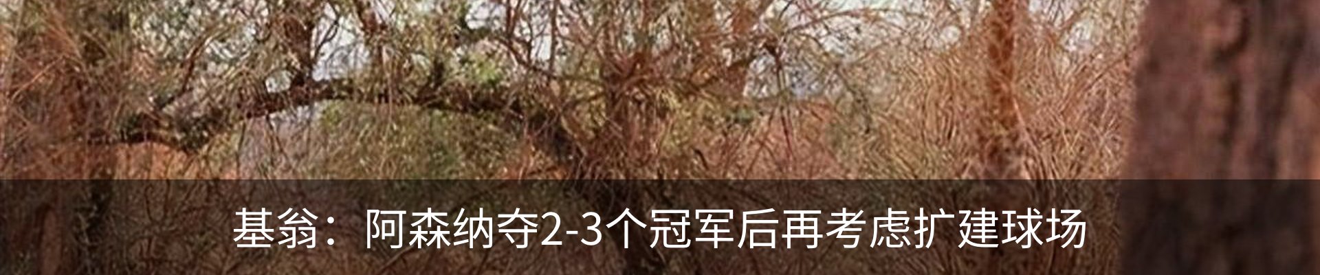 最新动态