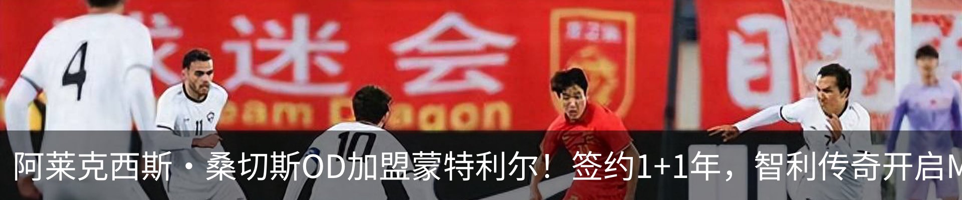 最新动态